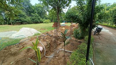 Asola Plot View 3