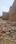 Tagore Garden, Tagore Garden Extension Main Image 1