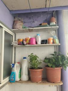 Balcony Image of 510 Sq.ft 1 BHK Apartment / Flat for sale in Bodakdev Ahmedabad for Rs. 4500000