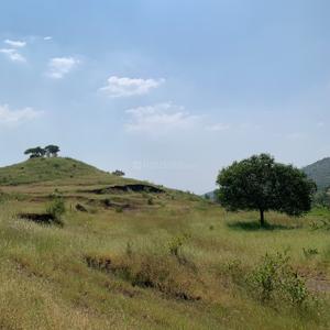 Image of 11000 Sq.ft Residential Plot / Land for sale in Kikvi, Pune for Rs. 1919000