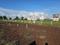 Wagholi Plot View 1