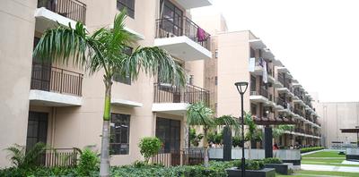 Image of 955 Sq.ft 2 BHK Builder Floor for sale in Signature Global City 81, Sector 81, Gurgaon for Rs. 11000000