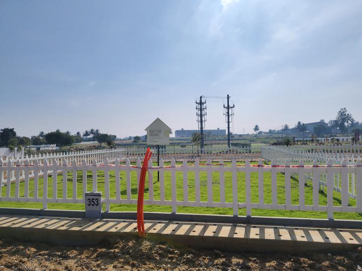 Ruby Sizzle Heritage Main Image 1