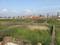 Golden city Plot View 2
