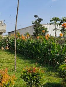 Image of 999 Sq.ft Residential Plot / Land for sale in Chaksu, Jaipur for Rs. 3105524