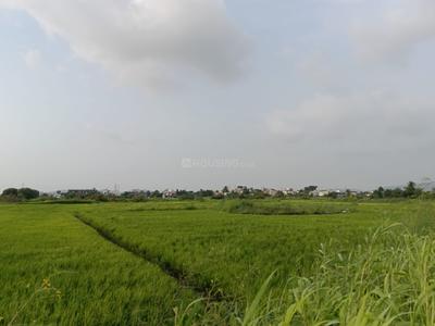 Image of 2000 Sq.ft Residential Plot / Land for sale in Umroli, Navi Mumbai for Rs. 300000