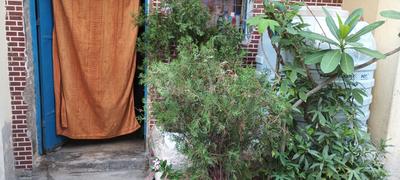 Image of 247 Sq.ft 2 BHK Independent House for sale in Kirari Suleman Nagar, New Delhi for Rs. 2700000