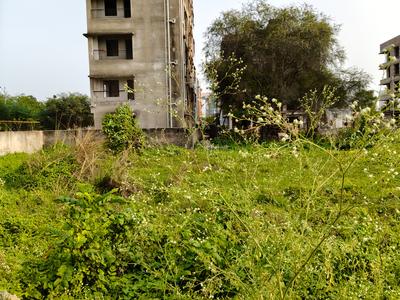 Action Area 2 Plot View 2