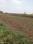 Shivala Par Plot View 2