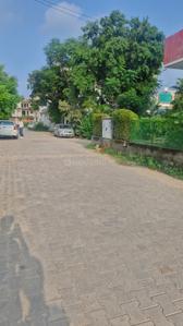 Image of 1800 Sq.ft Residential Plot / Land for sale in TDI Villas, Sector 117, Mohali for Rs. 19900000
