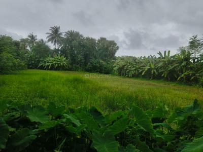 Natagachi Plot View 3