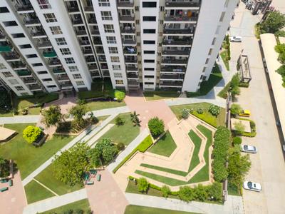 Living Room Image of 1615 Sq.ft 3 BHK Apartment / Flat for sale in Umang Winter Hills, Sector 77 Gurgaon for Rs. 17500000