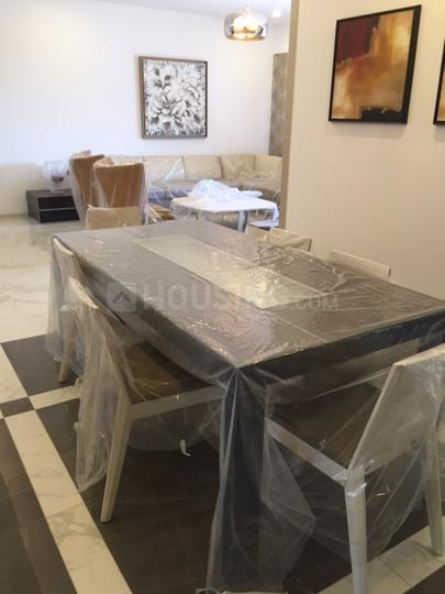 AD N APA Main Image 1