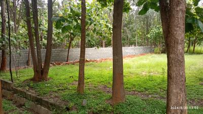 Image of 6600 Sq.ft Residential Plot / Land for sale in Ferns Meadows, Bileshivale, Bengaluru for Rs. 66000000