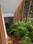 APIIC Colony, Moula Ali Balcony 2