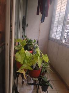 Balcony Image of 1350 Sq.ft 2 BHK Builder Floor for rent in Wilson Garden Bengaluru for Rs. 46000