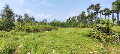 Image of 1060 Sq.ft Residential Plot / Land for sale in Bhogapuram, Vizianagaram for Rs. 7500000
