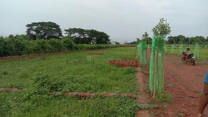 Phulnakhara Main Image 1