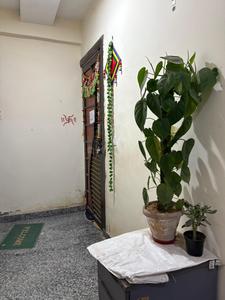 Bedroom Image of Krishna PG in Noida Extension, Greater Noida