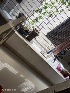 Balcony Image of 725 Sq.ft 2 BHK Apartment / Flat for rent in Mangadewadi Pune for Rs. 12000
