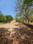Greencity Plot View 2