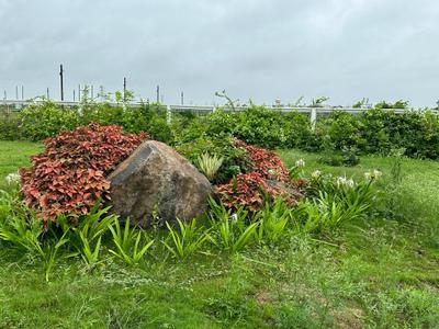 Image of 2580 Sq.ft Residential Plot / Land for sale in Ringnodiya, Indore for Rs. 10320000