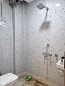 Common Bathroom Image of 600 Sq.ft 2 BHK Apartment / Flat for sale in Nawada New Delhi for Rs. 4100001