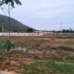 Costal corridor Plot View 2