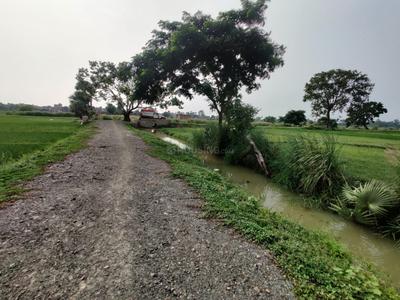 Image of 23000 Sq.ft Residential Plot / Land for sale in Naubatpur, Patna for Rs. 25500000