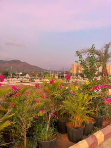 Image of 1614 Sq.ft Residential Plot / Land for sale in Rasayani, Navi Mumbai for Rs. 9500000