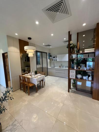 Enerrgia Skyi Songbirds Main Image 1