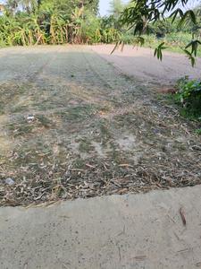 Residential Plot