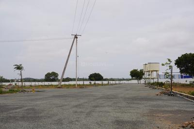 Image of 1175 Sq.ft Residential Plot / Land for sale in Sulur, Coimbatore for Rs. 1563925