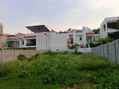 Pocket 3 Plot View 2