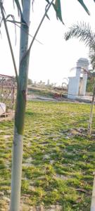 Image of 1000 Sq.ft Residential Plot / Land for sale in Sarthi Homes, Gangaganj, Lucknow for Rs. 851000