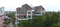 Waterlily Main Image 1