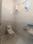 Raghavendra colony marthanda colony Bathroom 1