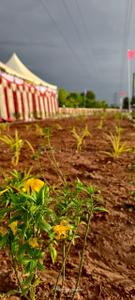 Image of 751 Sq.ft Residential Plot / Land for sale in Isha Breeze, Navalurkottapattu, Tiruchirappalli for Rs. 1239153