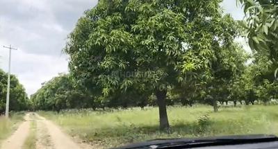 Image of 140000 Sq.ft Residential Plot / Land for sale in Santhapet, Chittoor for Rs. 87500000