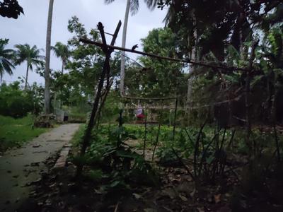 Image of 19620 Sq.ft Residential Plot / Land for sale in Diamond Harbour, South 24 Parganas for Rs. 13500000