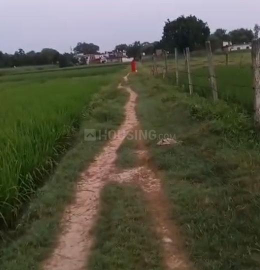 Babatpur Main Image 1