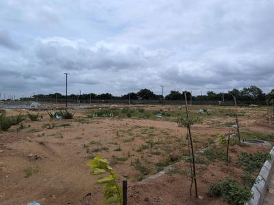 Open plot thimmapur Plot View 2
