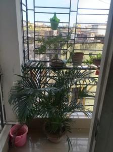 Balcony Image of 1460 Sq.ft 3 BHK Apartment / Flat for sale in Lake Town Kolkata for Rs. 8500000