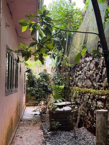 Balcony Image of 1700 Sq.ft 4 BHK Independent House for sale in Thariyode Wayanad for Rs. 5400000