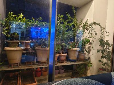 Balcony Image of 925 Sq.ft 2 BHK Apartment / Flat for sale in Sachin Surat for Rs. 2500000