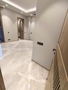 Hall Image of 2700 Sq.ft 4 BHK Builder Floor for sale in Green Park New Delhi for Rs. 95000000