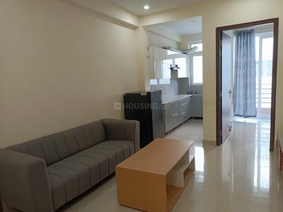 Hall Image of 1050 Sq.ft 2 BHK Builder Floor for rent in Sector 27 Gurgaon for Rs. 45000
