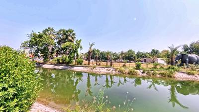 Image of 1831 Sq.ft Residential Plot / Land for sale in Kundal, Mehsana for Rs. 12500000