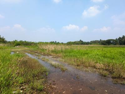 Image of 2880 Sq.ft Residential Plot / Land for sale in Natures Paradise, Joka, Kolkata for Rs. 799999