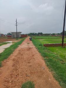 Karaundi Plot View 1